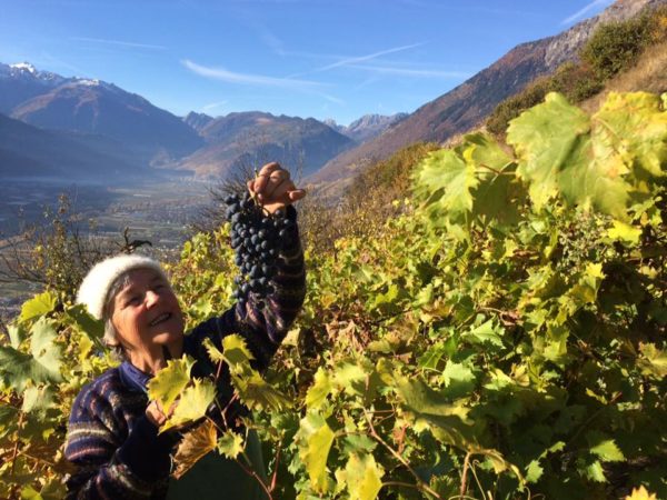 beudon-vendanges-2016-caroline-faiss-5