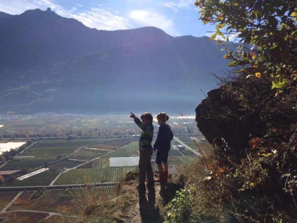 beudon-vendanges-2016-caroline-faiss-7